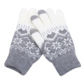 Acrylgestrickte Handschuhe Lady Jacquard Touchscreen Handschuhe warme Winterhandschuhe